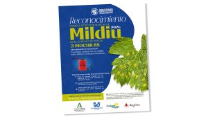 El Condado de Huelva premia a quien avise primero del mildiu en el viñedo