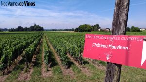 «Como si te pidieran que demolieras tu casa»: Los viticultores franceses se despiden con dolor de su viñedo