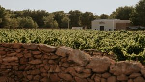 Bodegas Terramoll.