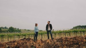 Weingut Diwald: La bodega austriaca pionera en viticultura ecológica celebra medio siglo de un afortunado “accidente”