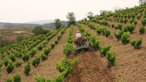 Foto: Tractor oruga trabajando una viña en Calatayud. Foto: Raíces Ibéricas.