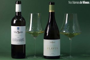 Viña Sastre Flavus Lías 2020 & Viña Sastre Flavus 2019: Viñas viejas y variedades olvidadas en tierras burgalesas de la Ribera del Duero