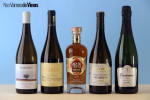 La D.O. Rueda tiene un vino para cada momento de tu verano