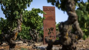 La DOCa Rioja señala sus viñedos centenarios
