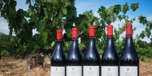 99, 98, 96, 95, 95... La colección Single Vineyard 2020 de Dominio de Atauta convierte el Valle de Atauta en la cima de la Guía Peñín 2027