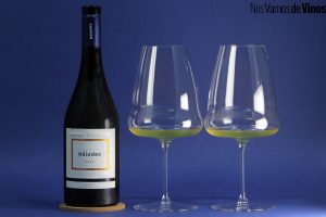 Náiades 2022: ¿Puede el Verdejo de Rueda llegar a ser un gran vino blanco?