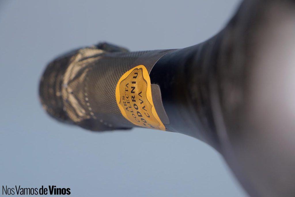 Codorníu Ars Collecta Blanc de Blancs Reserva 2022. Etiqueta del cuello de la botella.