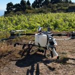 La DOP Islas Canarias se suma a un proyecto supraautonómico para modernizar el viñedo en pendiente con IA y drones