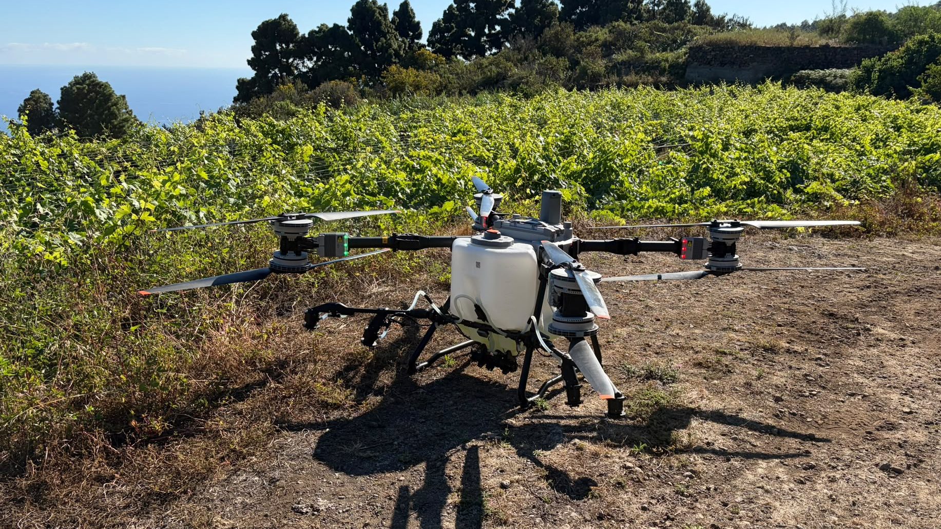 La DOP Islas Canarias se suma a un proyecto supraautonómico para modernizar el viñedo en pendiente con IA y drones