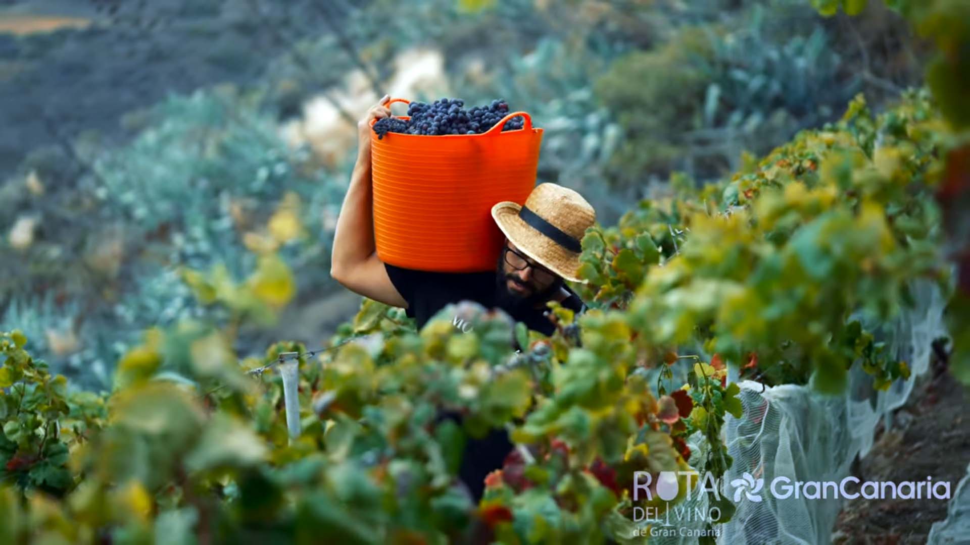 Vídeoclip "Tierra" de Germán López y Augusto Báez de Turismo de Gran Canaria