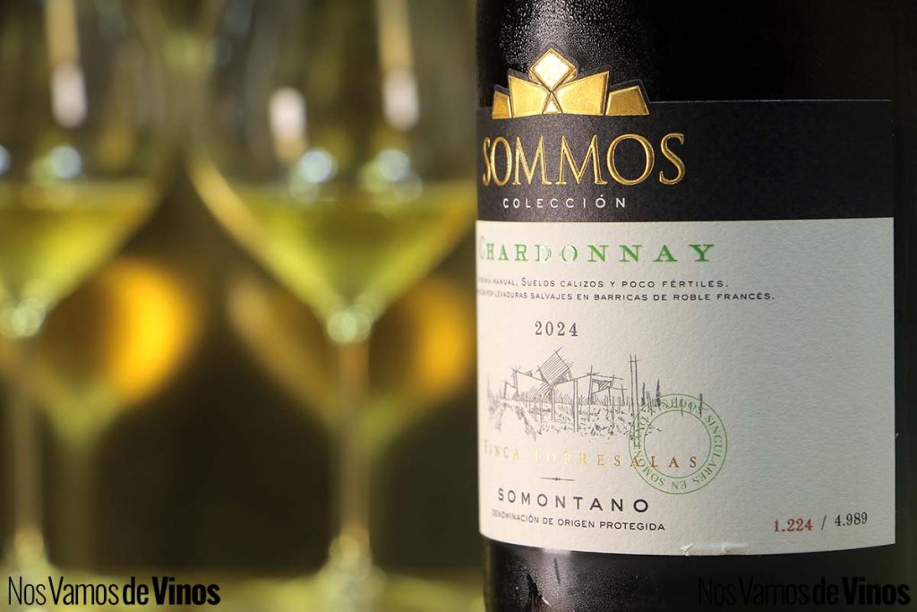 Sommos Chardonnay Colección 2024: Laderas, noche y barricas imprimen su sello en este opulento blanco del Somontano. Detalle de la etiqueta