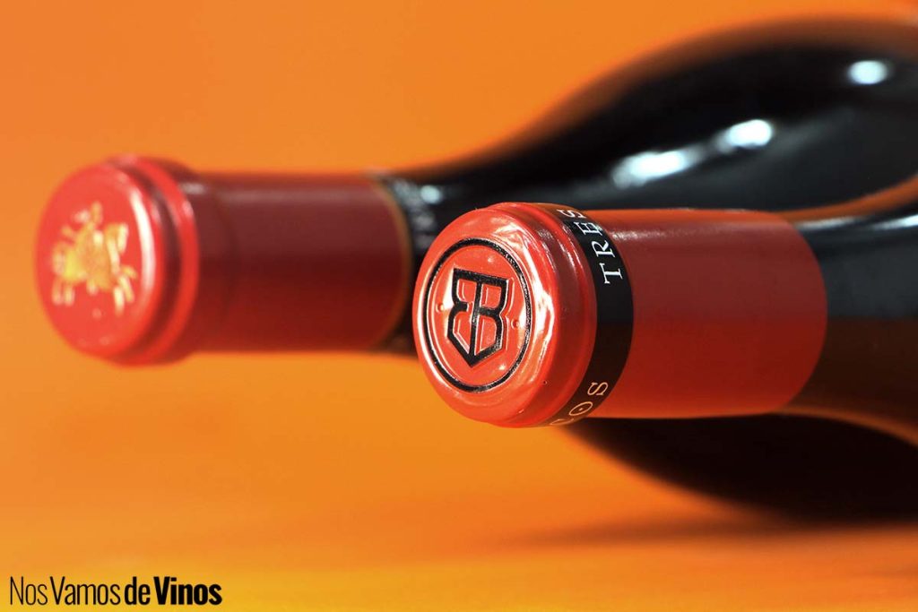 Borsao Tres Picos 2022: Veinticinco años reivindicando la Garnacha que nace a los pies del Moncayo. Cápsulas