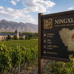 China redefine su mapa vitivinícola: menos volumen, más calidad y Ningxia como escaparate global