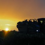 La vendimia 2026 de la D.O. Rueda cierra con buenas expectativas tras recoger 144,8 millones de kilos de uva