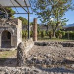 La vendimia vuelve a Pompeya dos mil años después