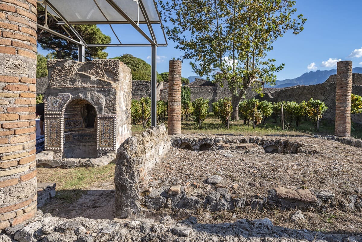 La vendimia vuelve a Pompeya dos mil años después