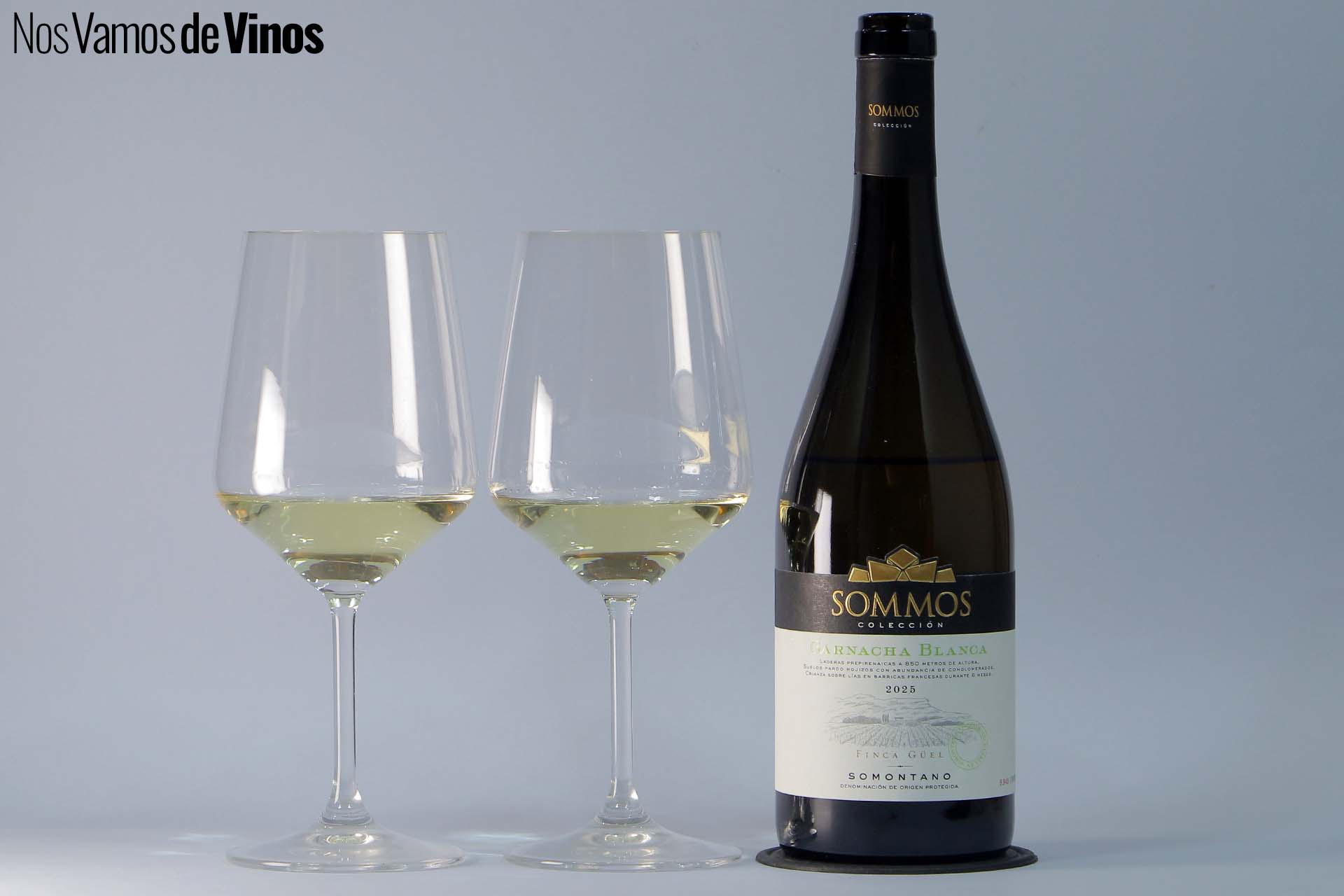 Sommos Colección Garnacha Blanca 2025: Untuoso y genuino blanco de montaña