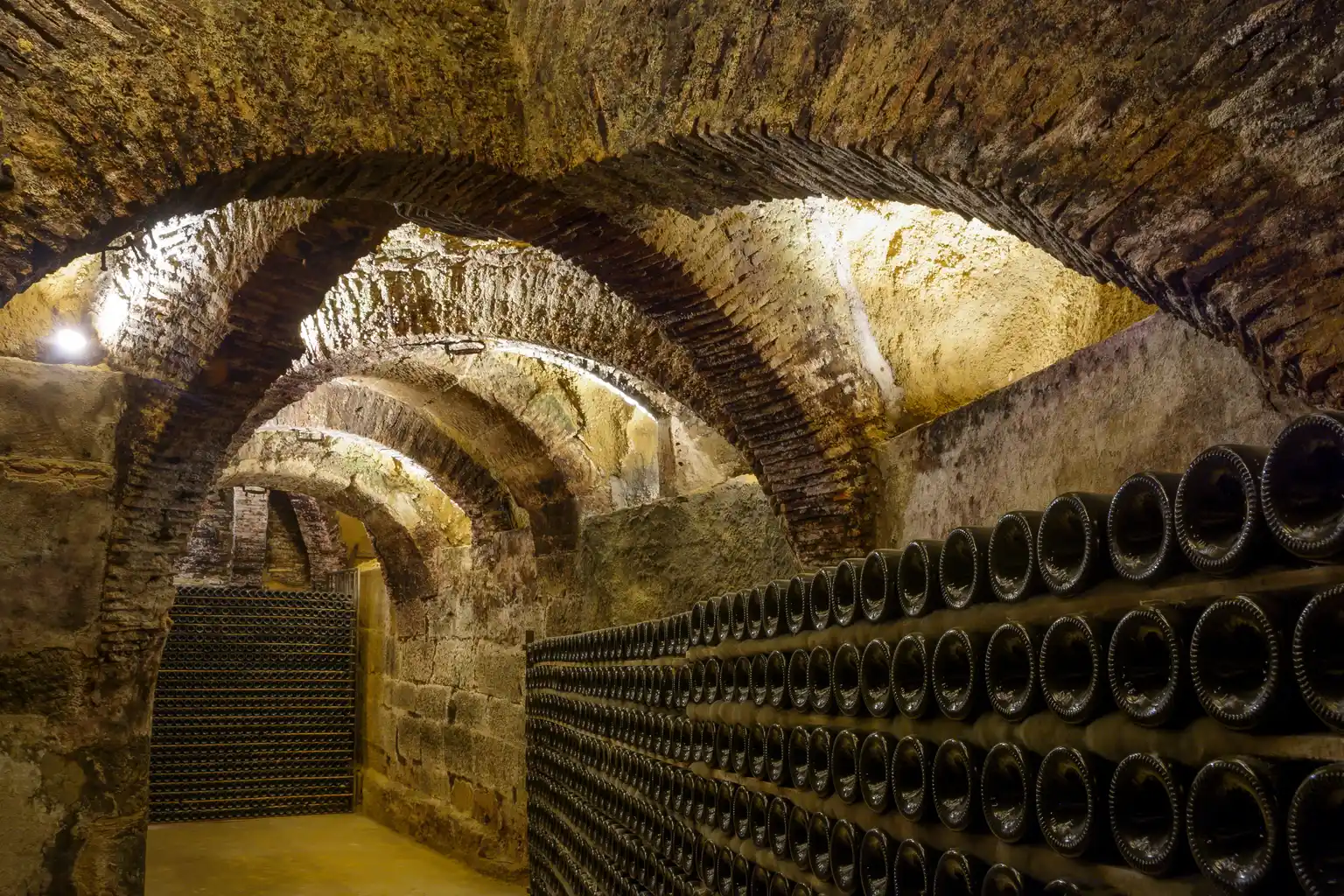 Conde de los Andes guarda entre el 15 % y el 20 % de cada vino pensando en el Rioja de dentro de cincuenta años