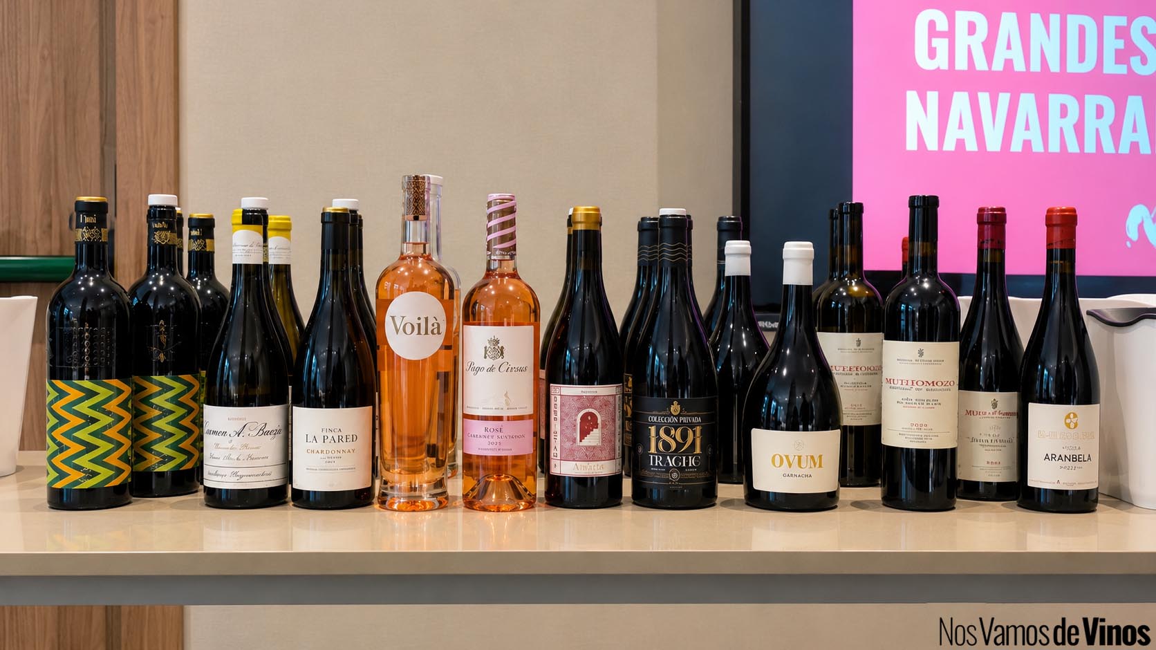 Navarra más allá del rosado. Vinos de la cata.