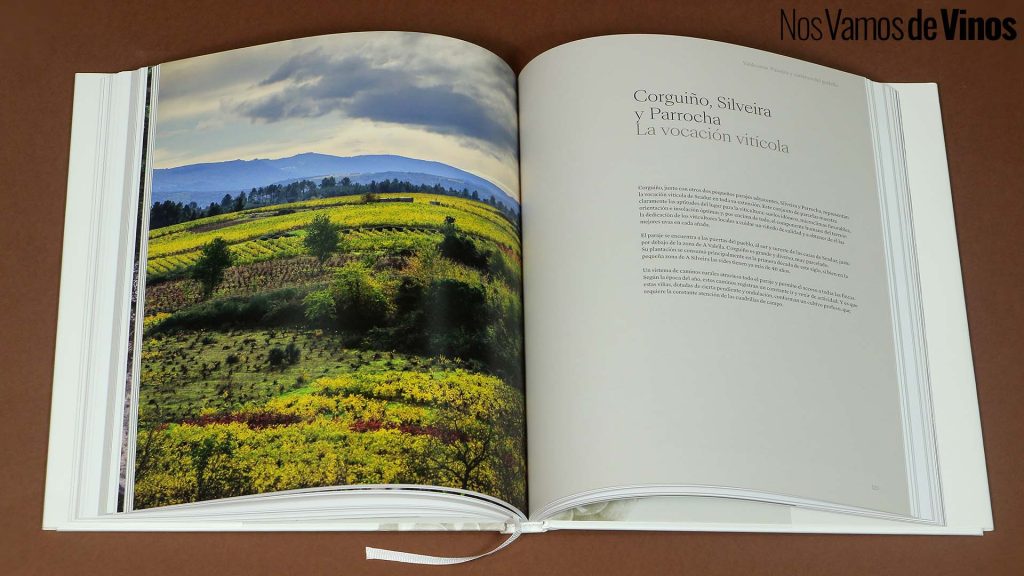 O Luar do Sil publica “Valdeorras. Paisajes y caminos del godello”, un libro de 200 páginas sobre los paisajes y el Godello de Valdeorras