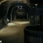 140 candidaturas y 29 rutas: así queda el palmarés de los Premios de Enoturismo Rutas del Vino de España